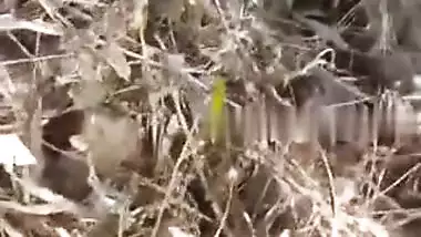 Village girl outdoor MMS fucking video with lover