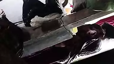 Son captures mom bathing in open backyard viral MMS